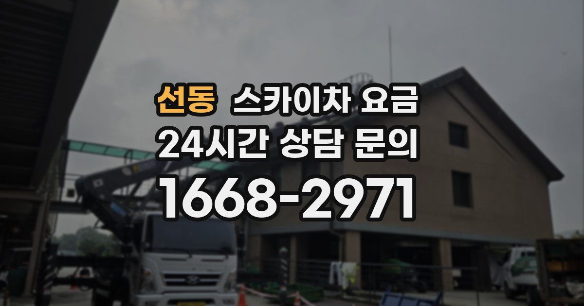 선동 스카이차 요금