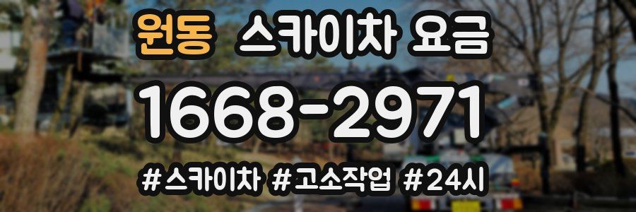 원동 스카이차 요금