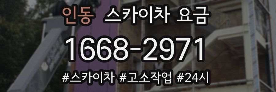 인동 스카이차 요금