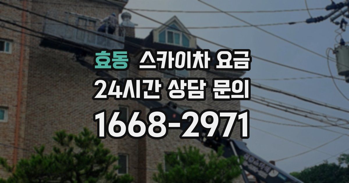 효동 스카이차 요금