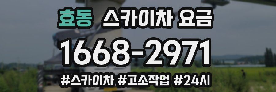 효동 스카이차 요금