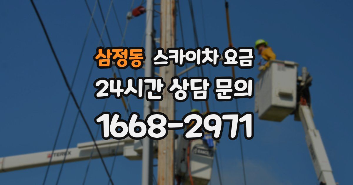 삼정동 스카이차 요금