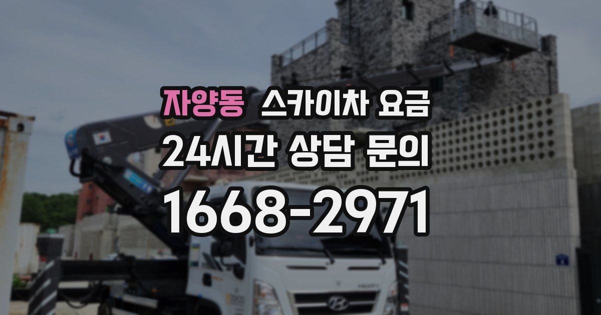 자양동 스카이차 요금