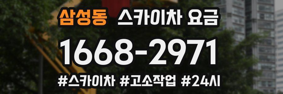 삼성동 스카이차 요금