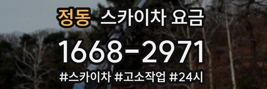 정동 스카이차 요금