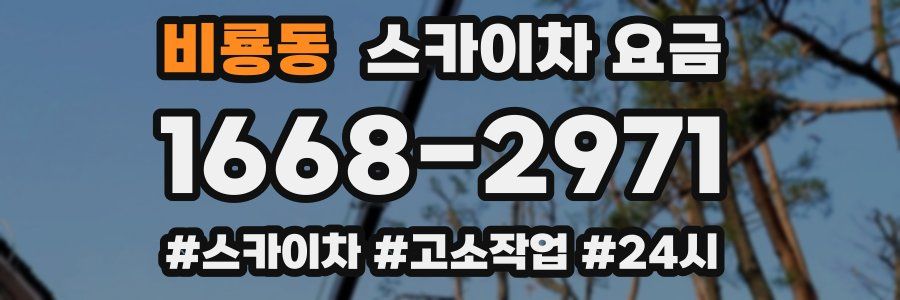 비룡동 스카이차 요금