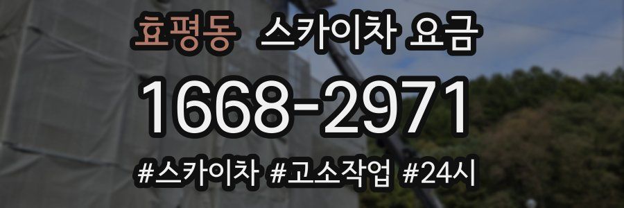 효평동 스카이차 요금