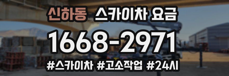 신하동 스카이차 요금