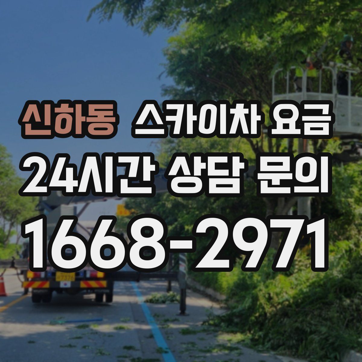 신하동 스카이차 요금