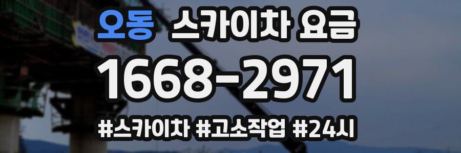 오동 스카이차 요금