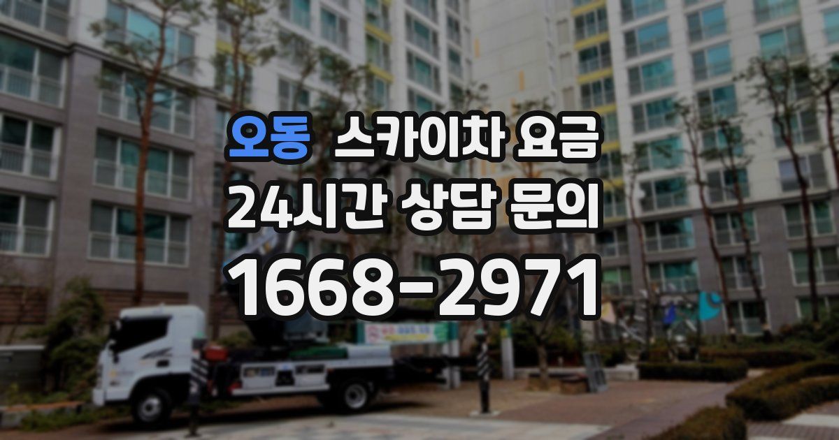 오동 스카이차 요금