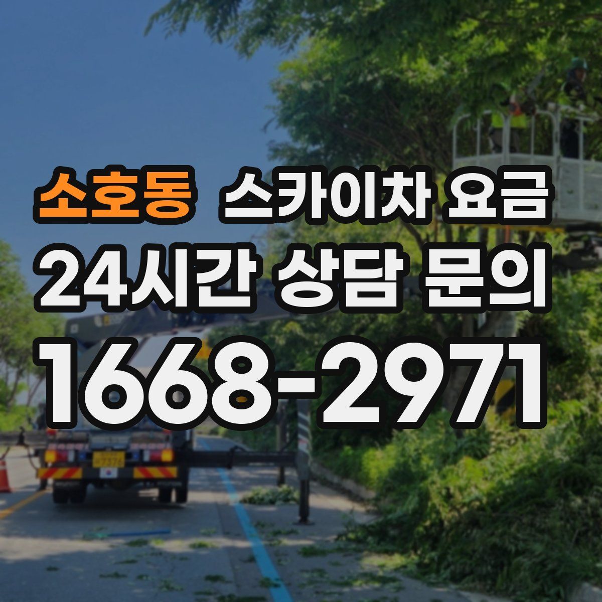 소호동 스카이차 요금