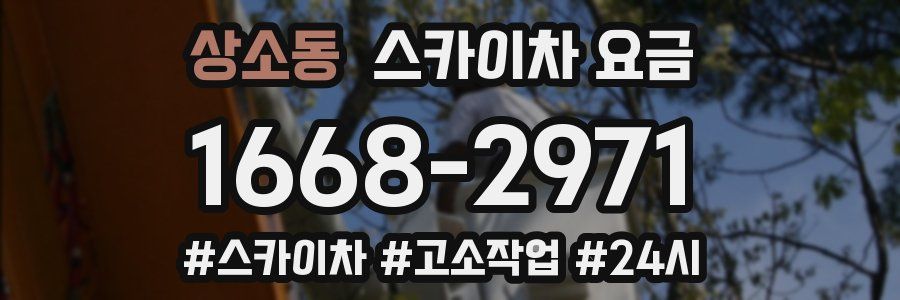 상소동 스카이차 요금