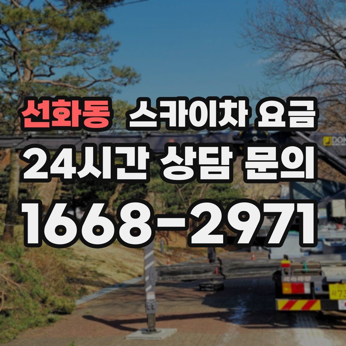 선화동 스카이차 요금 나무 가지치기 작업은 어떤 기준으로 볼까