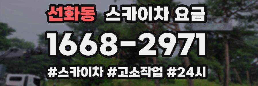 선화동 스카이차 요금