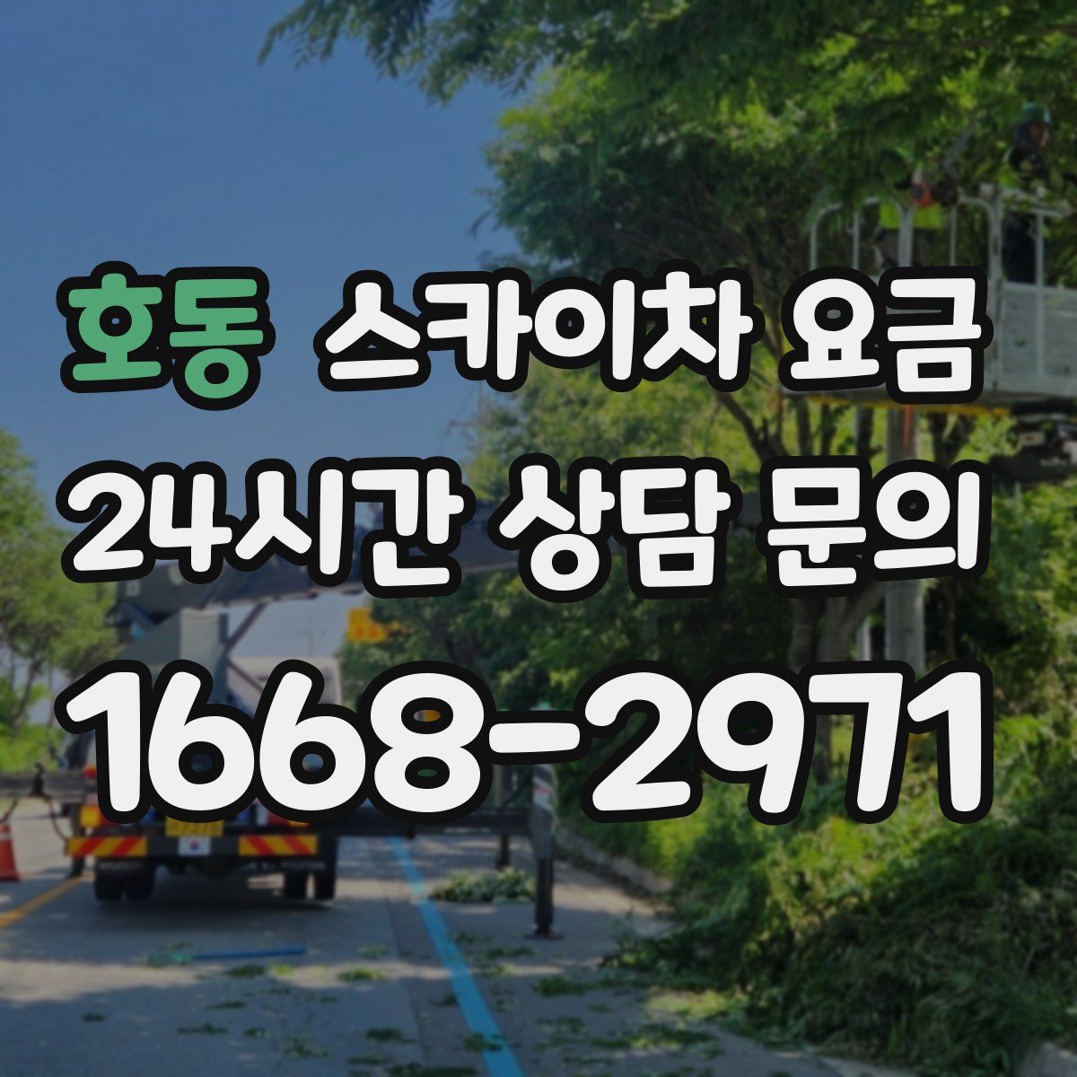 호동 스카이차 요금