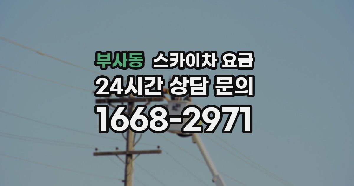 부사동 스카이차 요금