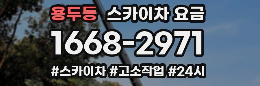 용두동 스카이차 요금