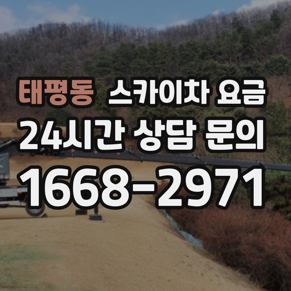 태평동 스카이차 요금 '너무 싼 견적'이 불안한 이유