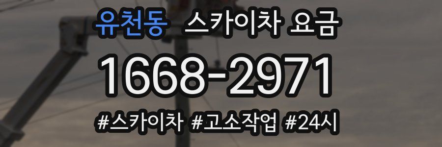 유천동 스카이차 요금