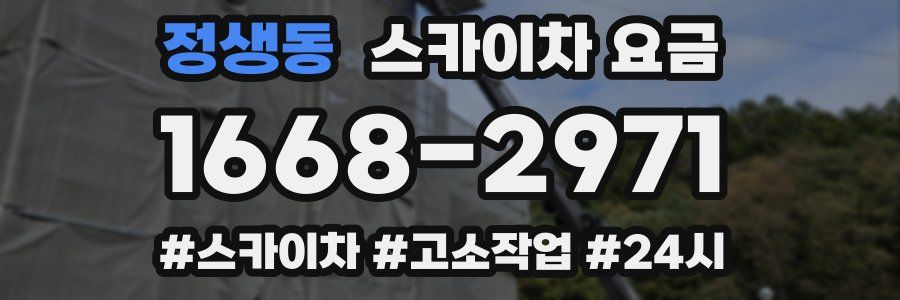 정생동 스카이차 요금