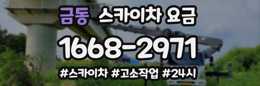 금동 스카이차 요금