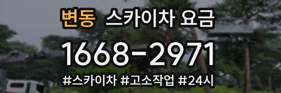 변동 스카이차 요금