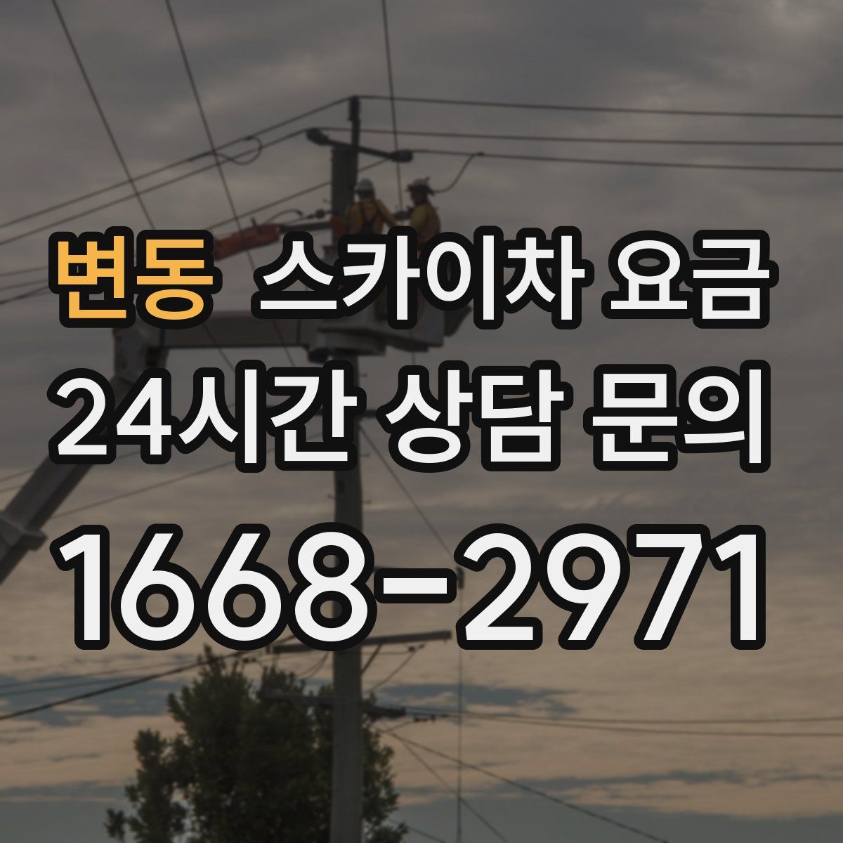 변동 스카이차 요금