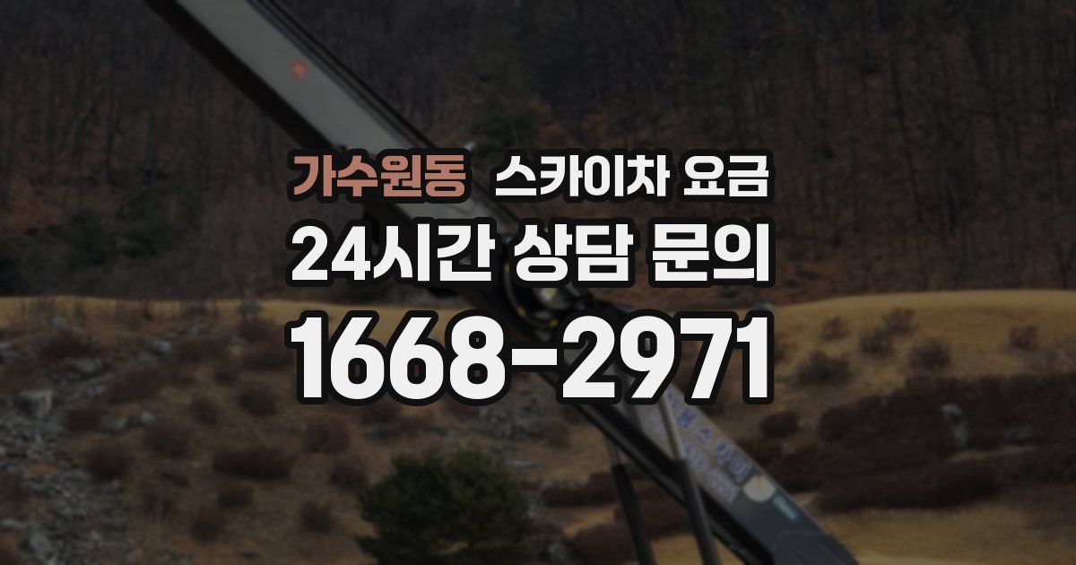 가수원동 스카이차 요금