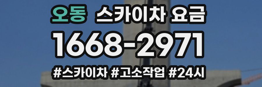 오동 스카이차 요금
