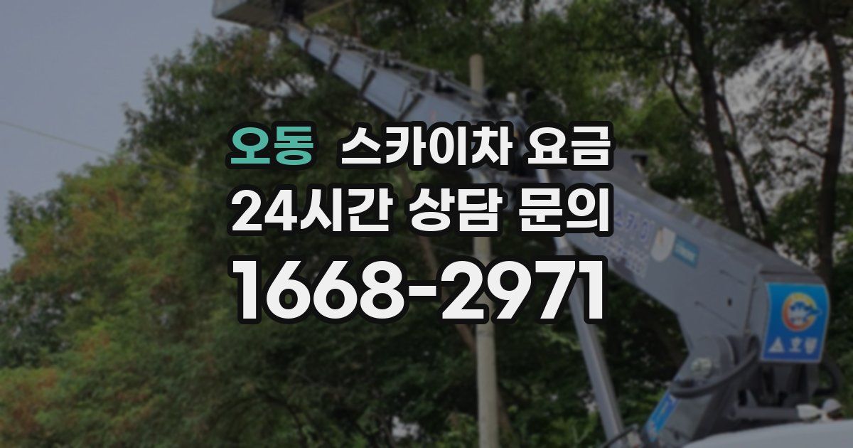 오동 스카이차 요금