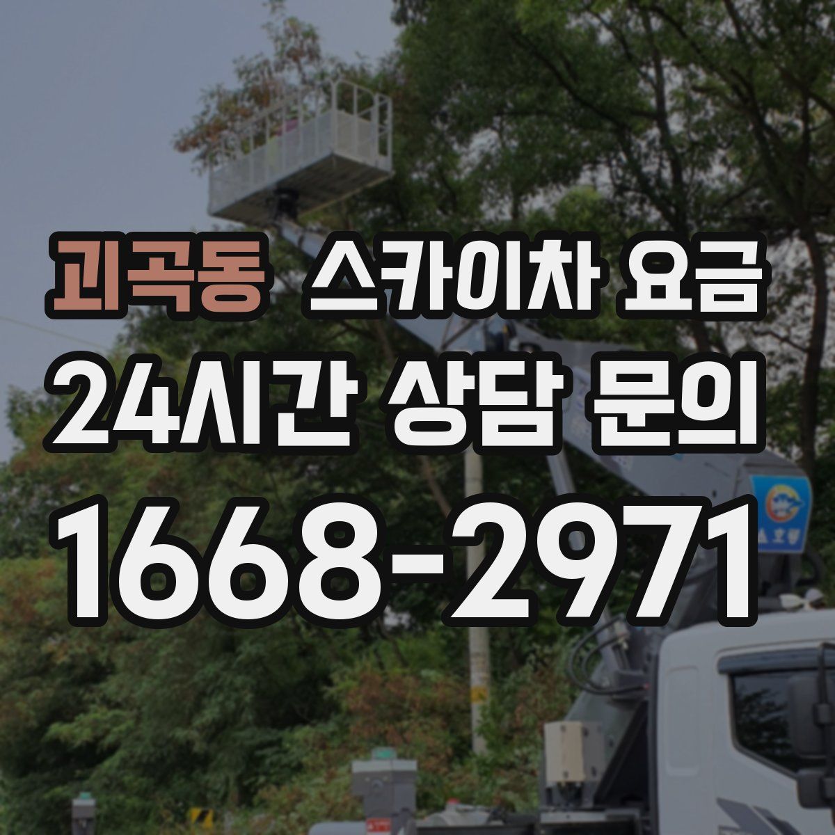 괴곡동 스카이차 요금