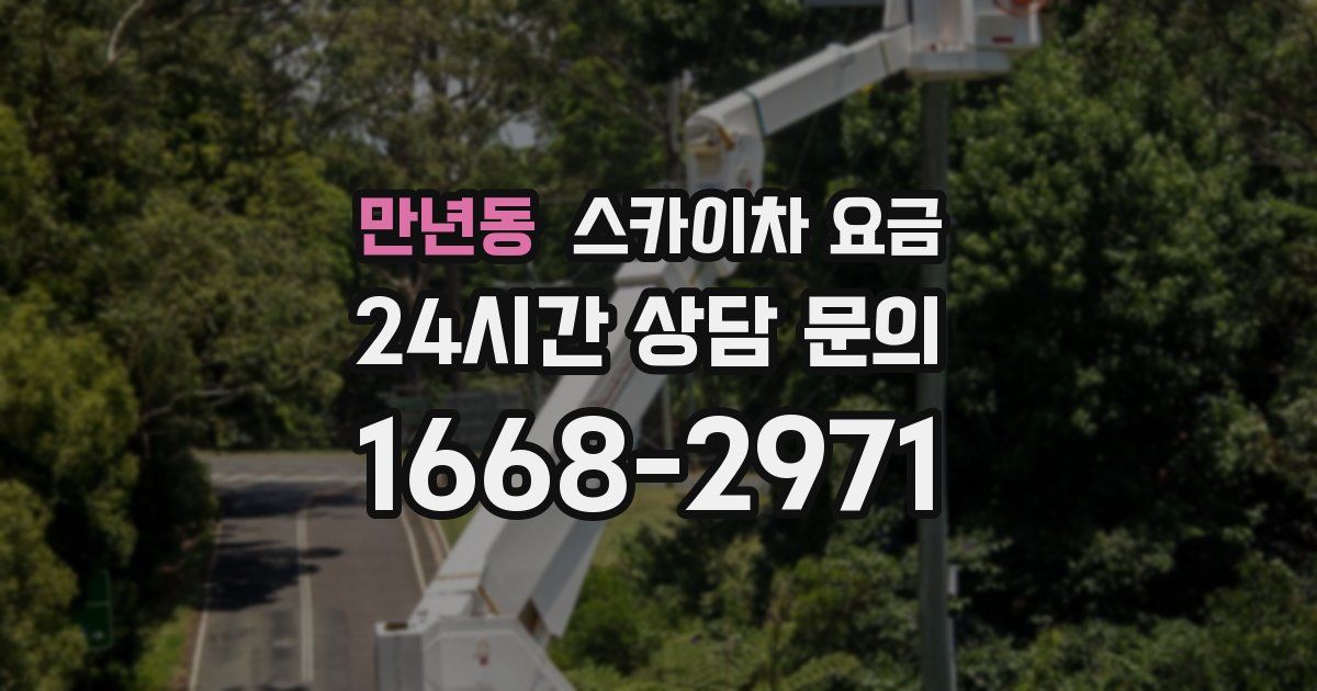 만년동 스카이차 요금