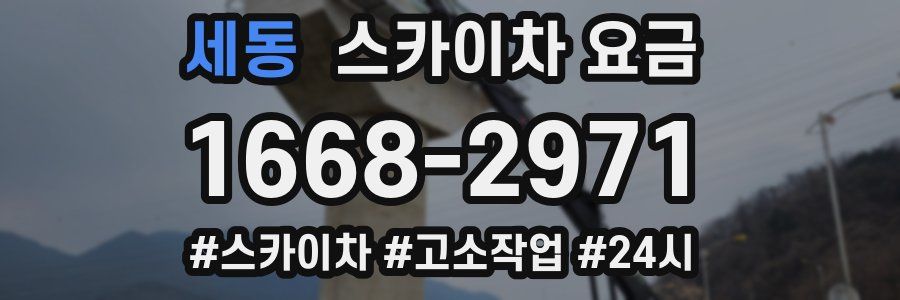 세동 스카이차 요금