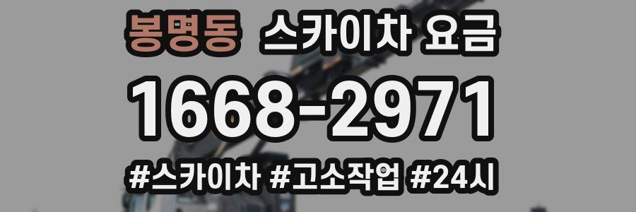 봉명동 스카이차 요금