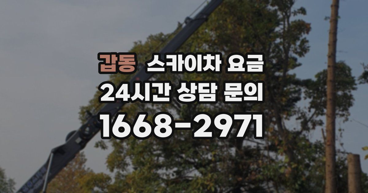 갑동 스카이차 요금