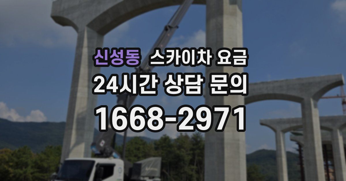 신성동 스카이차 요금