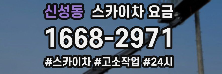 신성동 스카이차 요금