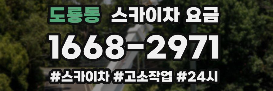 도룡동 스카이차 요금