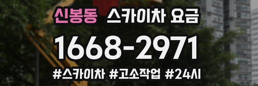 신봉동 스카이차 요금