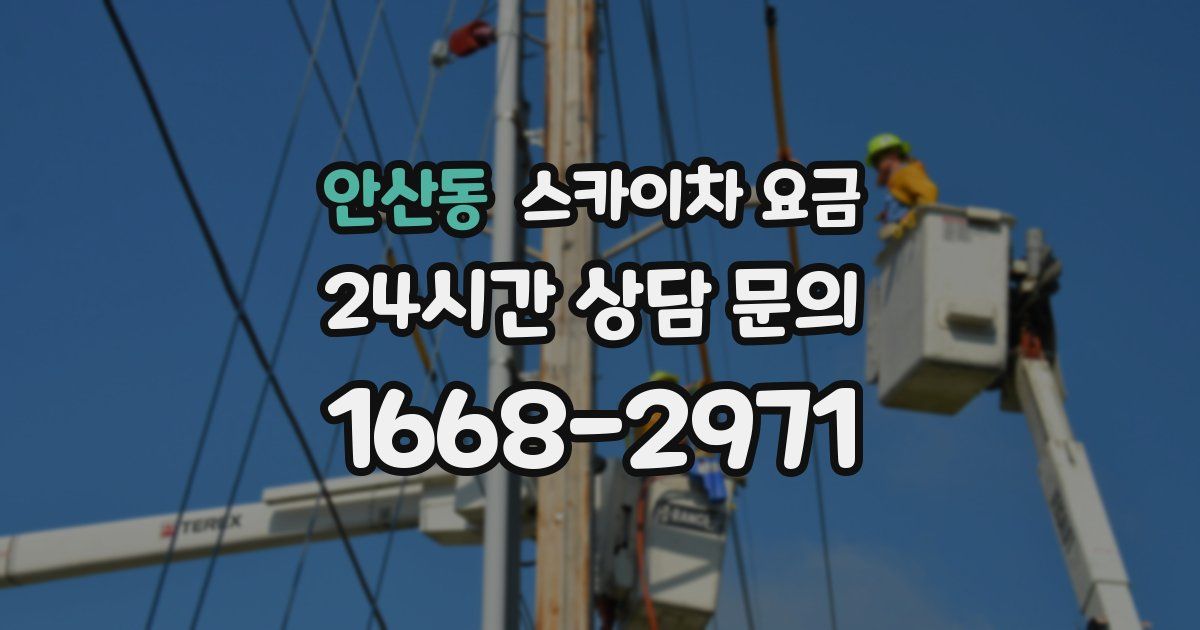 안산동 스카이차 요금