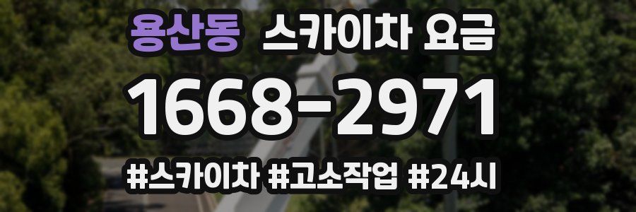 용산동 스카이차 요금