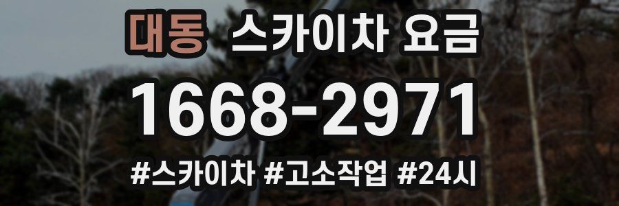 대동 스카이차 요금