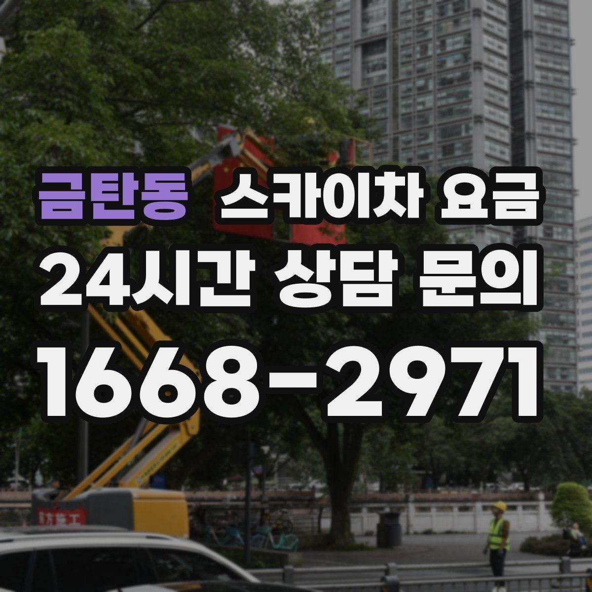 금탄동 스카이차 요금