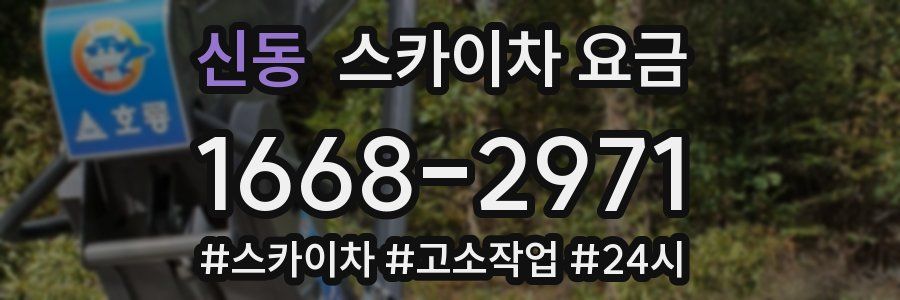 신동 스카이차 요금