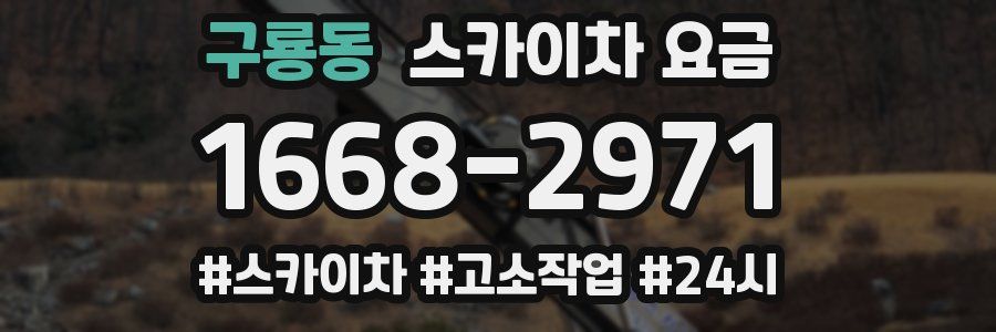 구룡동 스카이차 요금