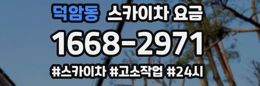 덕암동 스카이차 요금