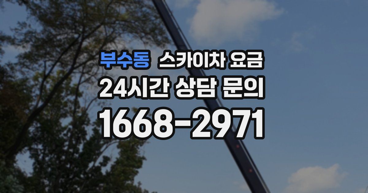 부수동 스카이차 요금