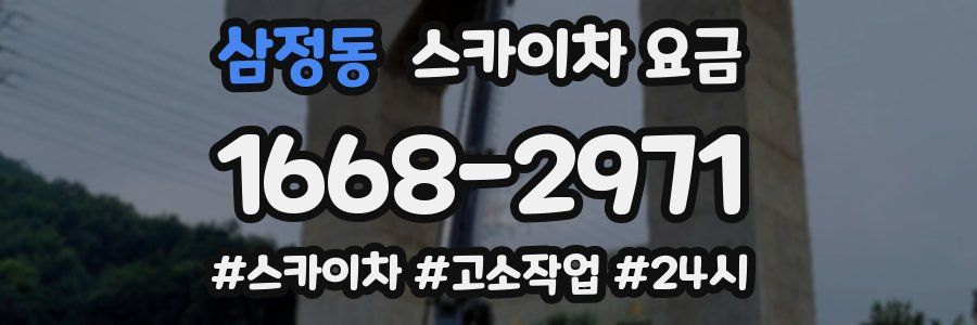 삼정동 스카이차 요금