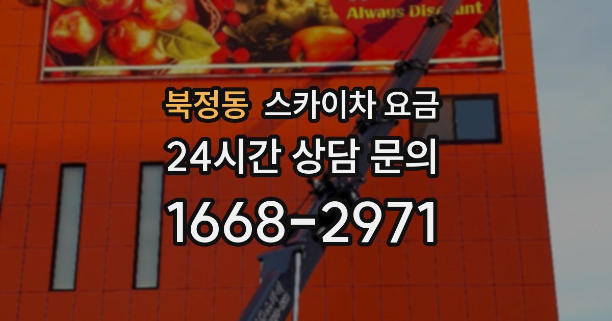 북정동 스카이차 요금